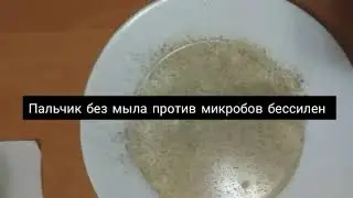 Легкий способ научить мыть руки с мылом . Микробы боятся мыла