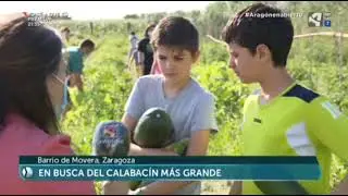 Pepitas de Arte en Aragón en Abierto (julio 2020)