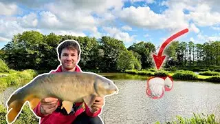 Fly Fishing for CARP?! (Bread Flies = CRAZY Surface Fishing)