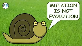 Mutation is not Evolution | EvolutionExamples