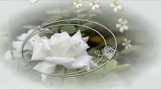 БЕЛЫЕ РОЗЫ -( Михаил Шуфутинский)