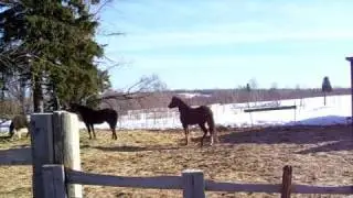 Jazz gets spooked