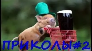 ЛУЧШИЕ ПРИКОЛЫ 2020 #2 ржака. угар.ДО СЛЁЗ