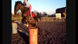 Ebony Jumping
