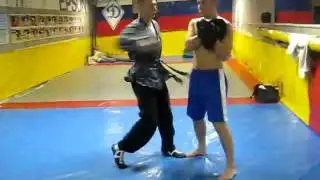 Лапы .avi