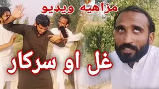 Pashto New Funny Video || Chd Vines 2 Funny Video || Ghal Aw Sarkaar  Funny || Pashto So Funny Video