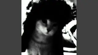 Дайте дури (ultra slowed)