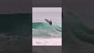 Air Reverse 360 Surfing Mexico - rider Sebastian Williams #surf #surfing #shorts