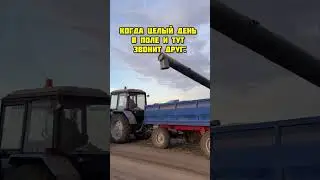 Настоящий друг 🧑🏼‍🌾😅🚜 #деревенскаяжизнь #агро #поле #посевная #комбайнеры #друзья #дружба