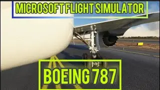 Microsoft Flight Simulator 2020 #boeing787 #shorts #newzealand #gaming #gameplay #4k
