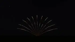 Pyroworks Single Shot Stepper Test