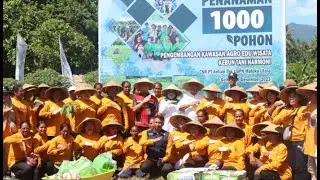 PENANAMAN 1000 POHON BUAH KELOMPOK TANI HARMONI BINAAN PT ANTAM Tbk