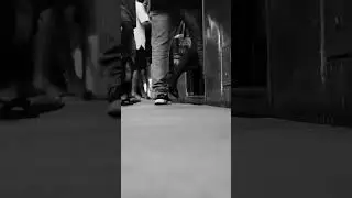 Registros de uma rotineira vida em deslocamento urbano através das vias de trem. Assim é a estética!