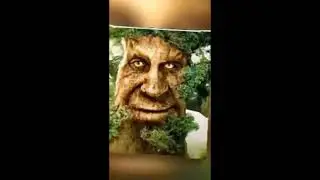 Древо люто флексит 1 час