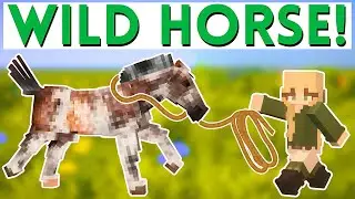 Catching a WILD Horse! | Minecraft SWEM Roleplay