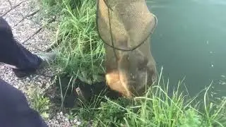 Улов на большом водоёме