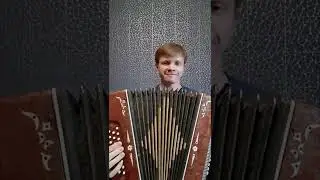 ГАРМОНЬ БЕЛАРУСЬ Железная компрессия
