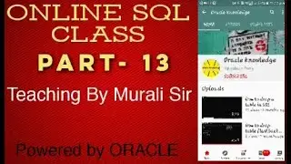 Oracle Online class murali sir 13