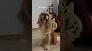 Модельное лицо 🤌🏼