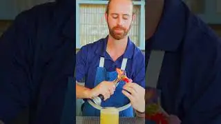 🔥 Vote to Win! Garnish Games 2024: The Viking Funeral by Erik Sisco 🍸