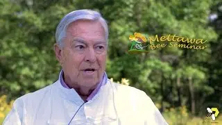 Bee Nutrition Trends
