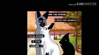 Для кисы