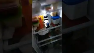 Pablo Marçal dentro da geladeira #memes #humor #comedia #pablomarcal #pablomarçal