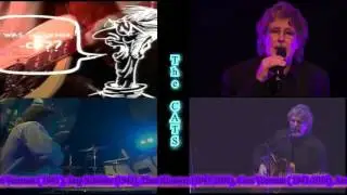 Yesterday & Now - The Cats (One Way Wind)