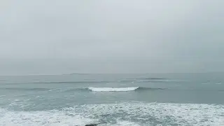 En el mar la vida es más sabrosa plevada.