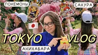 ЯПОНИЯ ВЛОГ 2024 🇯🇵 POP MART, АКИХАБАРА, ГИК ШОППИНГ, ИЩУ РЕДКОГО ПОКЕМОНА, КАФЕ И ПОКУПКИ
