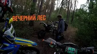 ВЕЧЕРНЯЯ ЭНДУРО ПОКАТУШКА ПО ЛЕСУ