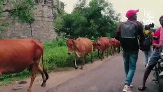 Gingee Fort