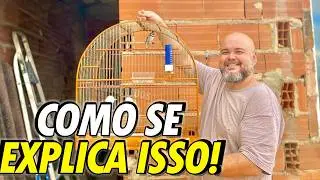 Quanto mais pessoas aprender isso melhor