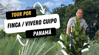 Tour por Finca Cuipo: un Vivero lleno de plantas ornamentales