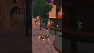 Making a beginners wish at AR58 be like~ 😨| Genshin Impact |