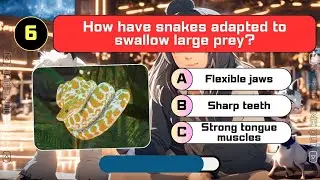 Guess How These Animals Evolved and Adapted