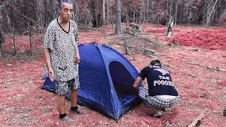 Разбиваем лагерь  в лесу  / жизнь в палатке