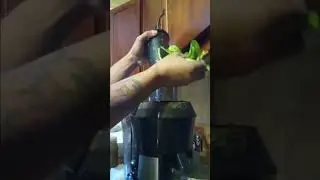healthy lifestyle (Juicer))