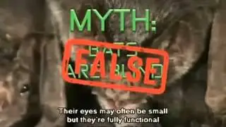 The Most Extreme - Animal Myths