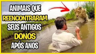 ANIMAIS QUE REENCONTRARAM SEUS DONOS APÓS ANOS