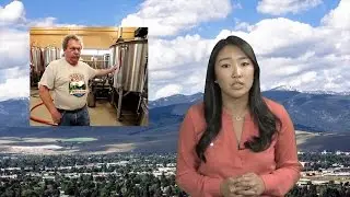 The 