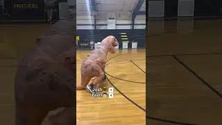 High School vs College 1 on 1 (PART 2) #basketball