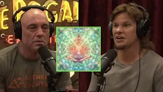 Theo Von Tells Joe About His Experience With Therapeutic Ayahuasca | JRE Uncut