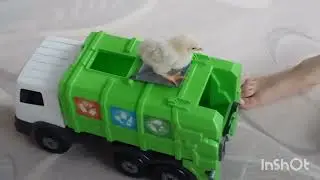 похолодало/Ваня весь в делах/как живут в русской деревне...