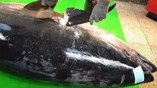 Giant Bluefin Tuna cutting skill -Tuna SASHIMI Taiwaese street food