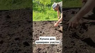 Приморск. Ленобласть