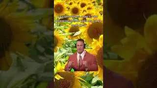 Когда понял, что этот мужик залетает в шортс #top #tiktok #россия #top10 #2023 #shorts #short