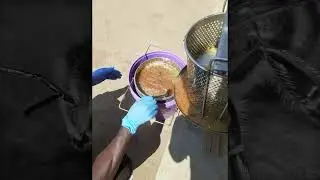 Nsefu Wildlife Honey Processing