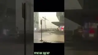 Ураган в Москве