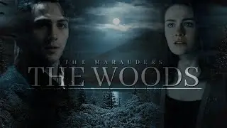 The Marauders | THE WOODS